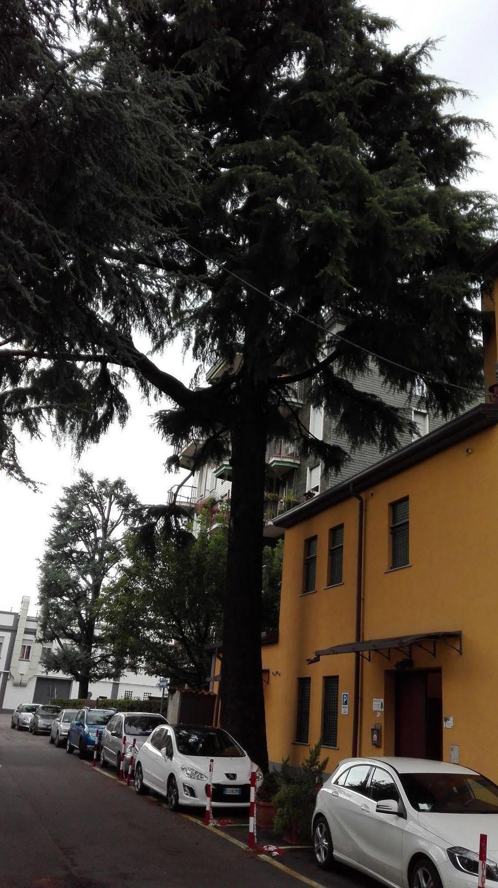 Residence Il Pino Saronno Eksteriør billede